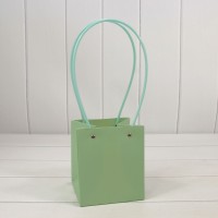 Пакет подарочный "Ваза для цветов" 15*13*13 Бледно-зелёный 1/10 1/120 Арт: 000170P/559