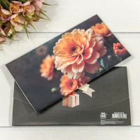 Конверт подарочный 16,5*9см 424 1/10 1/250 Арт: 003004/424