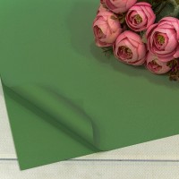 Плёнка в листах 55*55 (20 шт.) матовая "Корейская" 65мкм Зелёный 1/60 Арт: 1698/2259