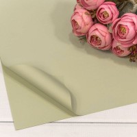 Плёнка в листах 55*55 (20 шт.) матовая "Корейская" 65мкм Бледно-зелёный-6198 1/60 Арт: 1698/6198