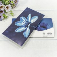 Конверт подарочный 16,5*9см 365 1/10 1/250 Арт: 003004/365