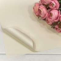 Плёнка в листах 55*55 (20 шт.) матовая "Корейская" 65мкм Жемчужно-белый 1/60 Арт: 1698/M
