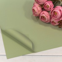 Плёнка в листах 55*55 (20 шт.) матовая "Корейская" 65мкм Бледно-зелёный-4204 1/60 Арт: 1698/4204