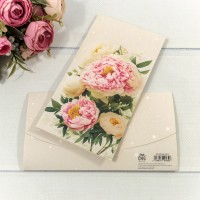 Конверт подарочный 16,5*9см 281 1/10 1/250 Арт: 003004/281